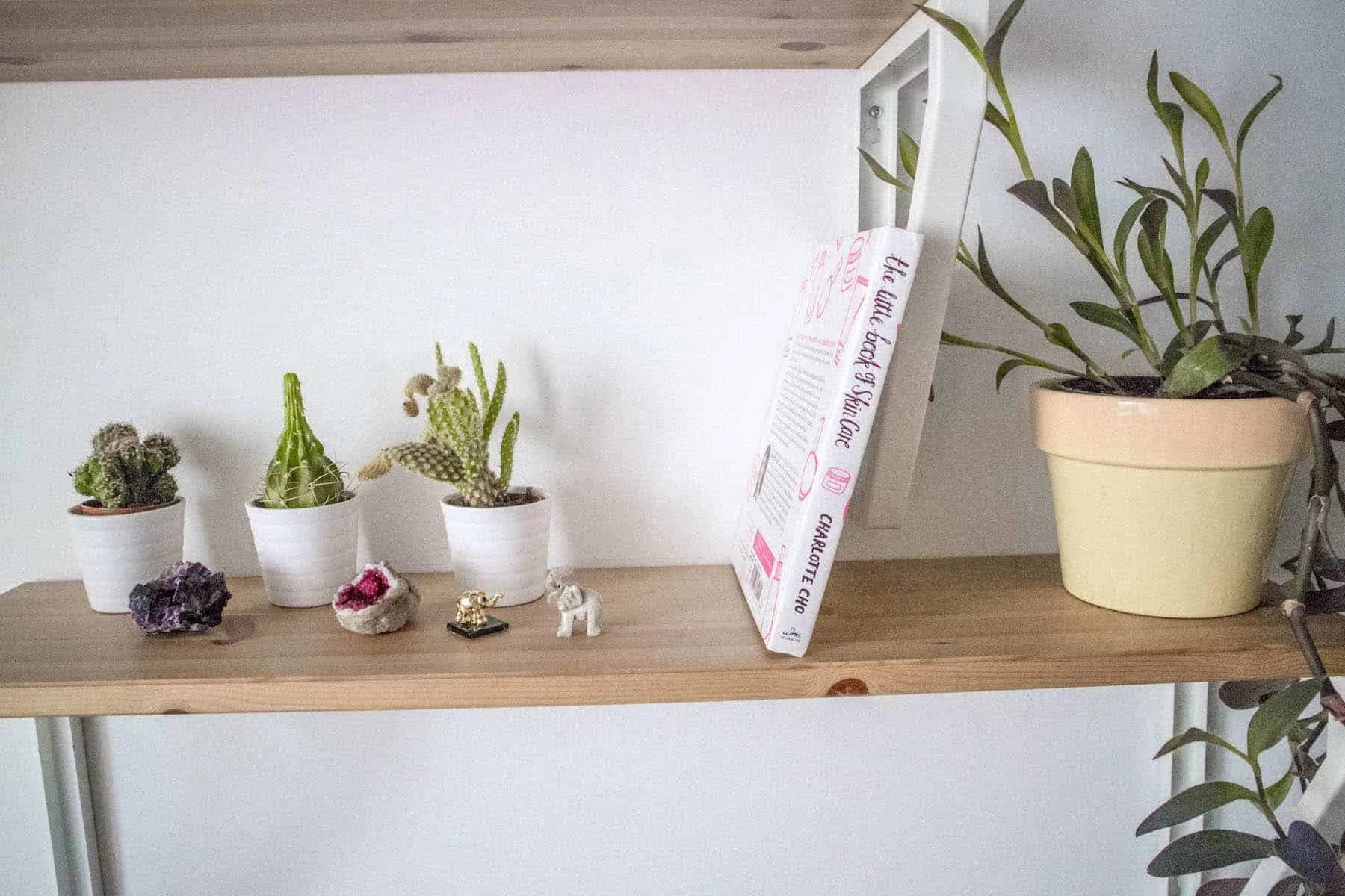 The Little Book of Skincare im Regal