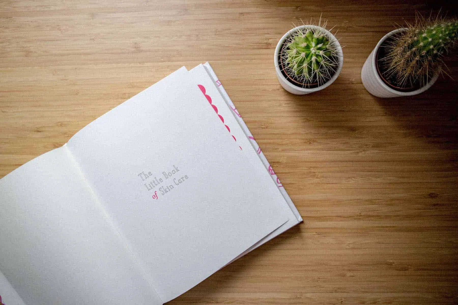 The Little Book of Skincare Titel