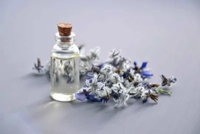 Naturkosmetik aus Korea – Diese Hautpflege Innovationen und Bio-Marken solltet ihr nicht verpassen