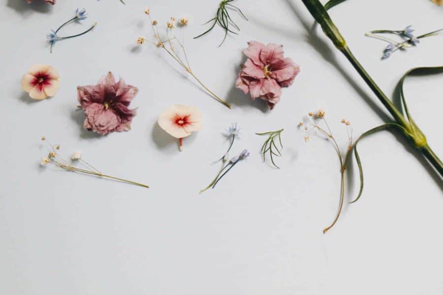 Die 4 wichtigsten Inhaltsstoffe in K-Beauty